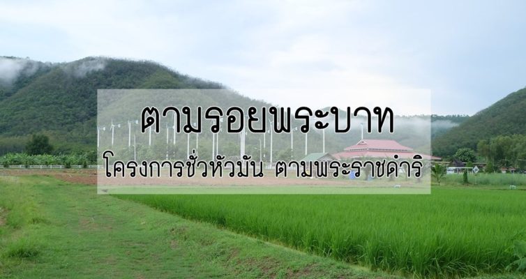 Name:  โครงการชั่วหัวมัน-ตามพระราชดำริ-754x.jpg
Views: 62
Size:  52.3 KB