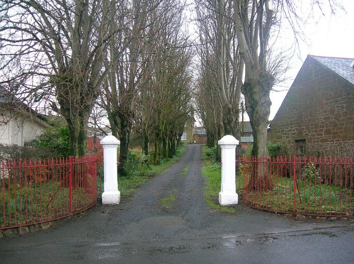Name:  1024px-Pollarded_trees_in_Kilmaurs_Ayrshire.jpg
Views: 170
Size:  98.7 KB