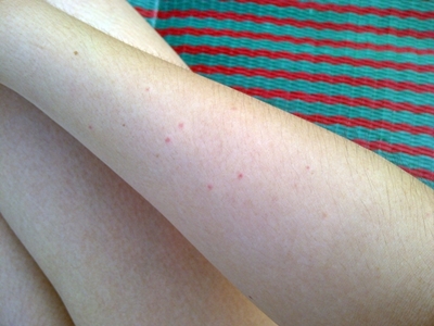 Name:  L11788048-0.jpg
Views: 897
Size:  94.0 KB