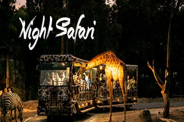Name:  2015_07_03_CNS_EN_NightSafari.jpg
Views: 21
Size:  43.3 KB