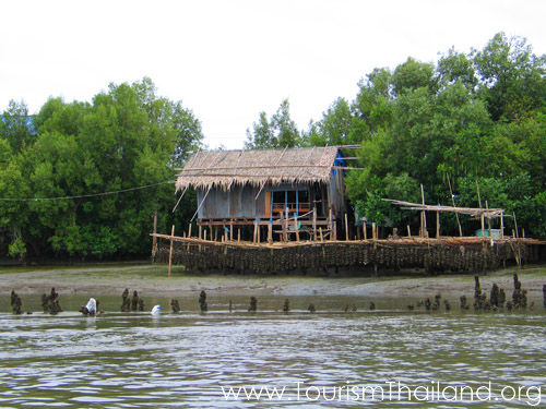 Name:  P03013128_pic1.jpg
Views: 163
Size:  91.4 KB