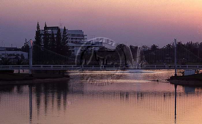 Name:  P03012581_pic1.jpg
Views: 289
Size:  33.6 KB