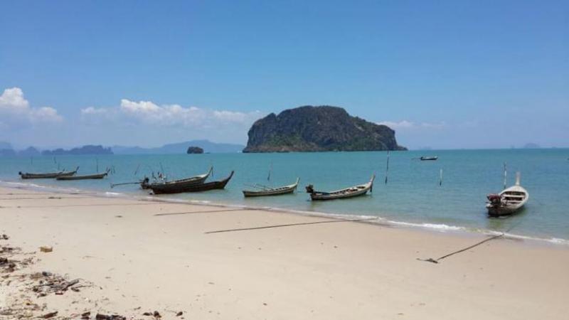 Name:  P03002019_1.jpg
Views: 502
Size:  26.7 KB
