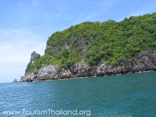 Name:  P03012974_pic1.jpg
Views: 618
Size:  80.7 KB