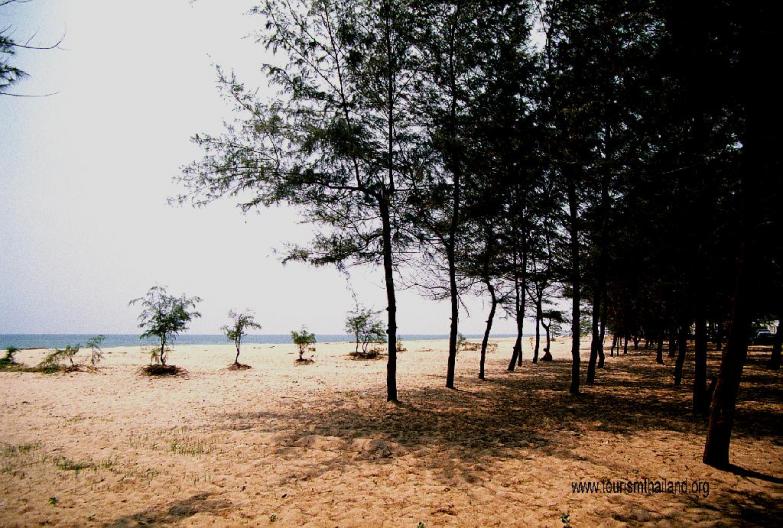 Name:  P03013415_1.jpg
Views: 325
Size:  97.2 KB