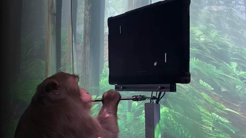 Name:  elon-musk-neuralink-monkey-pong-brain-c.jpg
Views: 186
Size:  28.4 KB