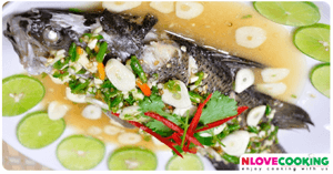 Name:  stream-lemon-fish-FB.png
Views: 187
Size:  31.9 KB