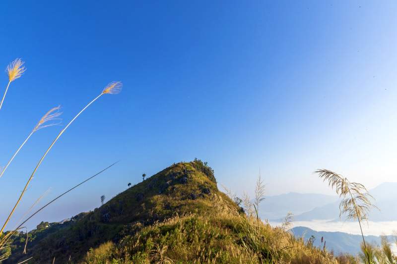 Name:  P03004859_1.jpg
Views: 147
Size:  36.3 KB