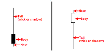 Name:  pin bar.png
Views: 385
Size:  12.7 KB